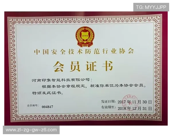 尊龙平台会员登录安全保障措施，确保每位用户账户信息安全