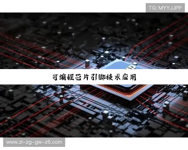 尊龙z6中国区官网入口官方入口常见问题及解决方案分析