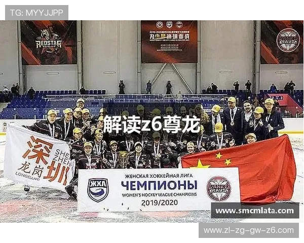 尊龙z6中国官网详细介绍尊龙z6的功能特点与使用指南