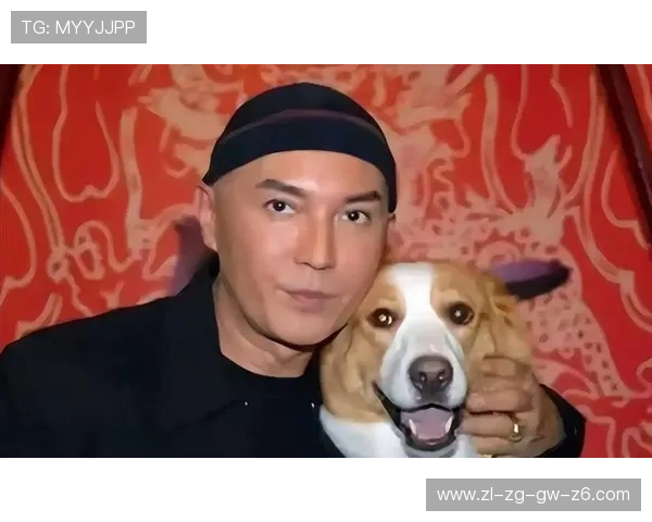 尊龙旧版app与新版本对比分析助你选择最适合的版本