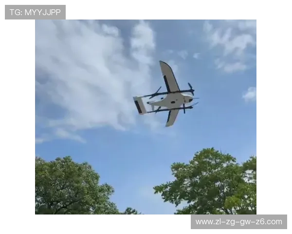 探索918博天堂平台的多样化娱乐游戏体验与安全保障措施