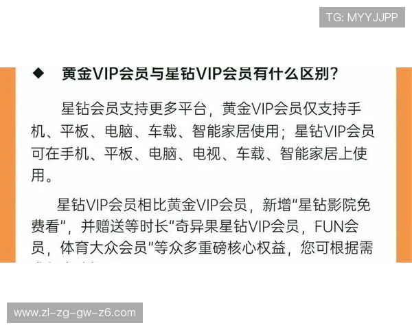 揭秘尊龙会官网的会员权益与优惠政策