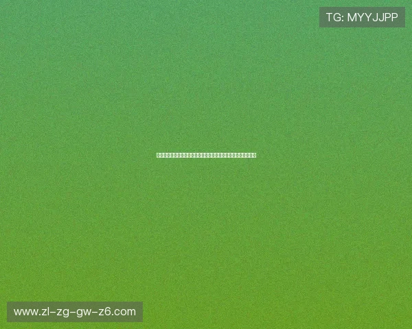 尊龙会官网娱乐平台官方平台介绍，全面解析平台背景与信誉保障